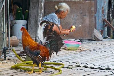 Borneo longhouse